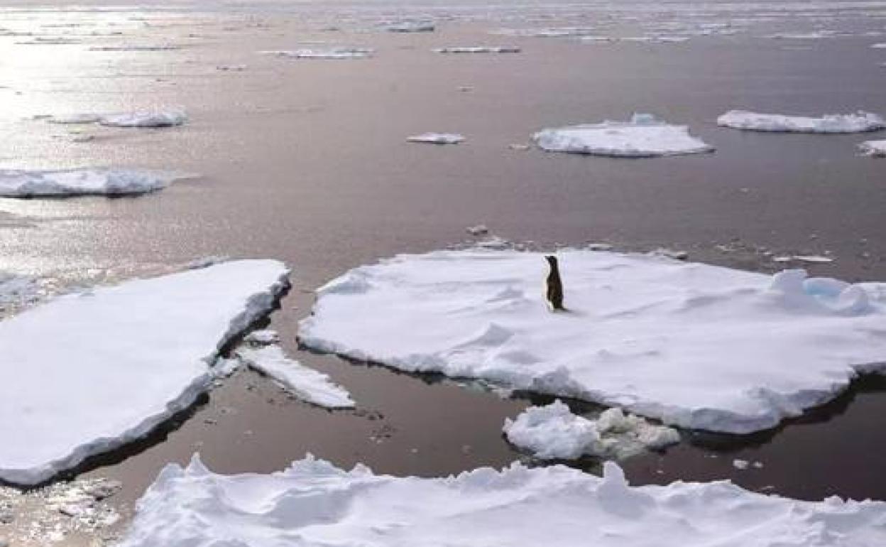 El hielo marino de la Antártida, visto desde el buque Xuelong II el 30 de enero de 2022.