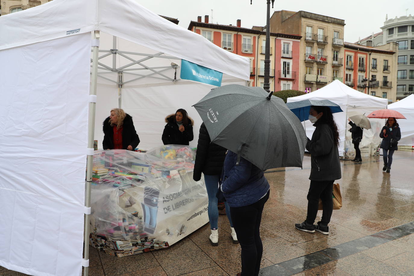 Fotos: La lluvia desluce el Día del Libro en Burgos