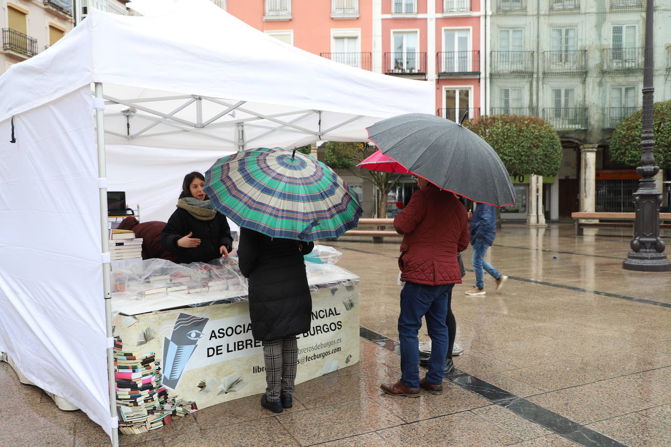 Fotos: La lluvia desluce el Día del Libro en Burgos