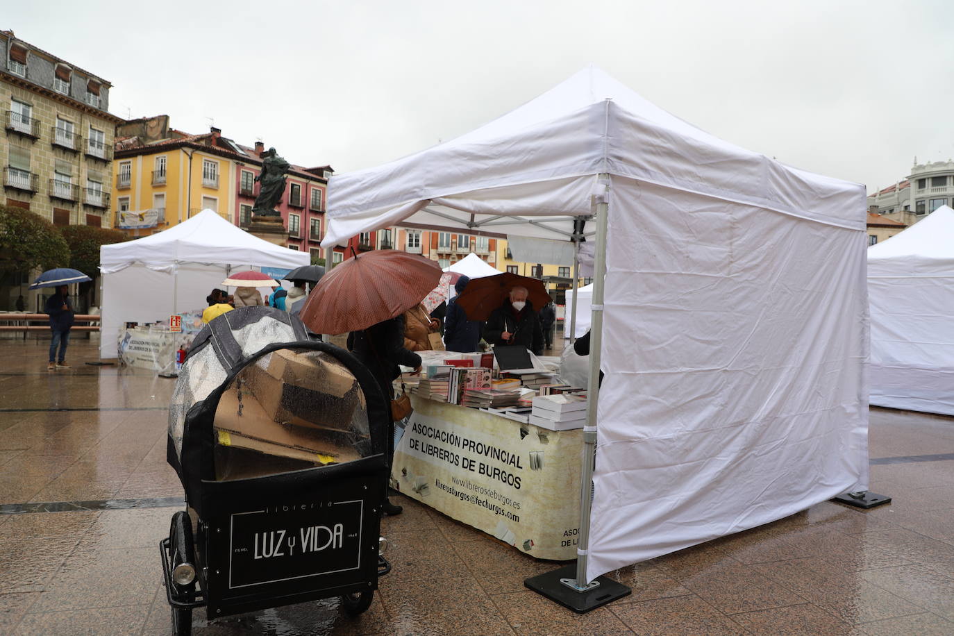 Fotos: La lluvia desluce el Día del Libro en Burgos