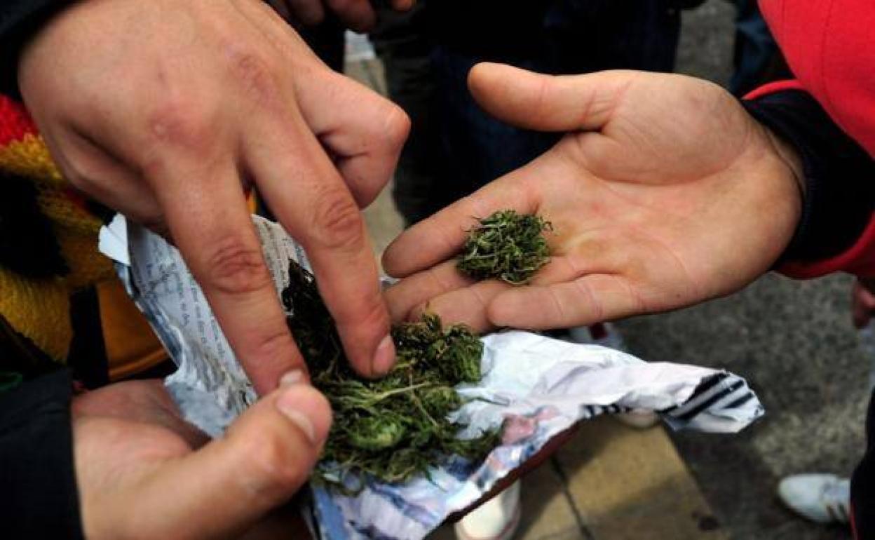 Varios jovenes sostienen cannabis