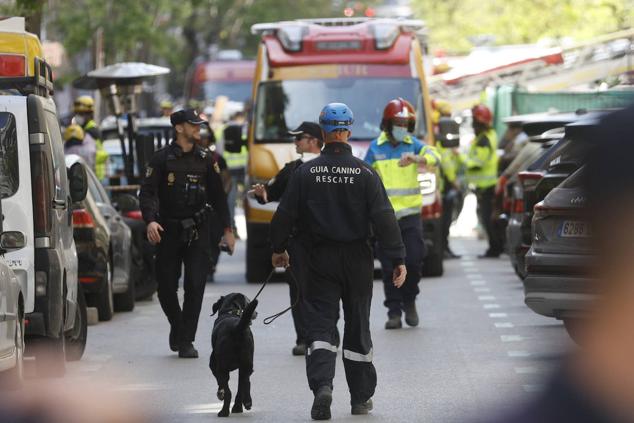 Los guios caninos están en la zona para buscar a las dos personas desaparecidas.