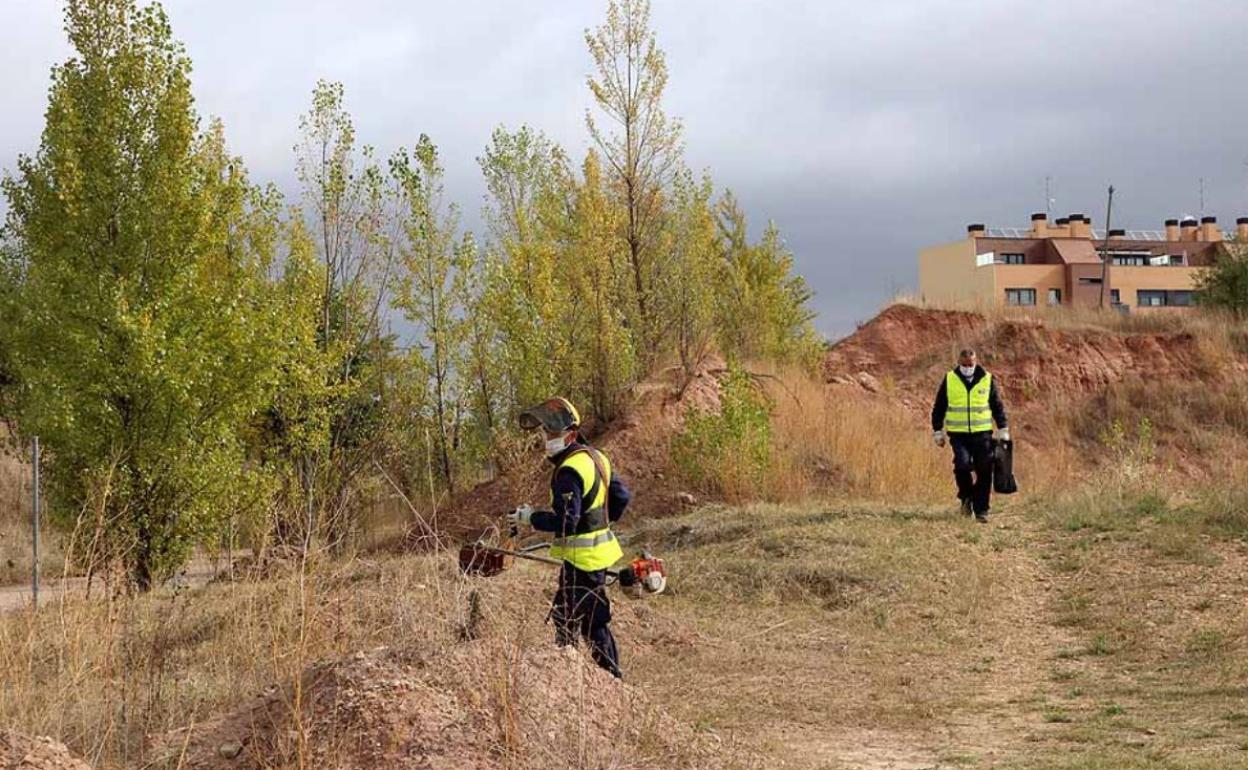 Las brigadas forestales de Medio Ambiente se nutren de los planes de empleo.