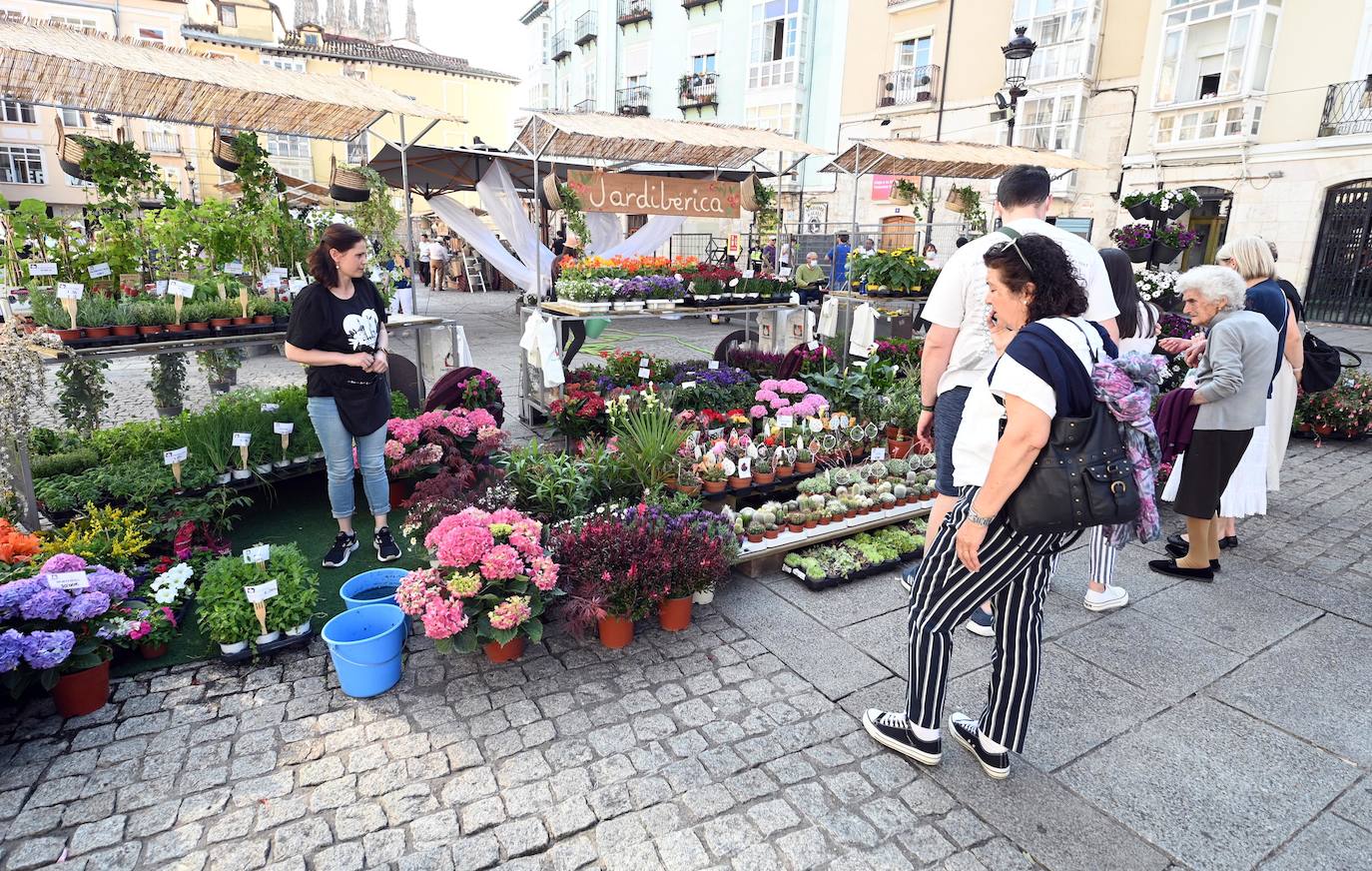 Fotos: Vuelve la Fiesta de las Flores a Burgos