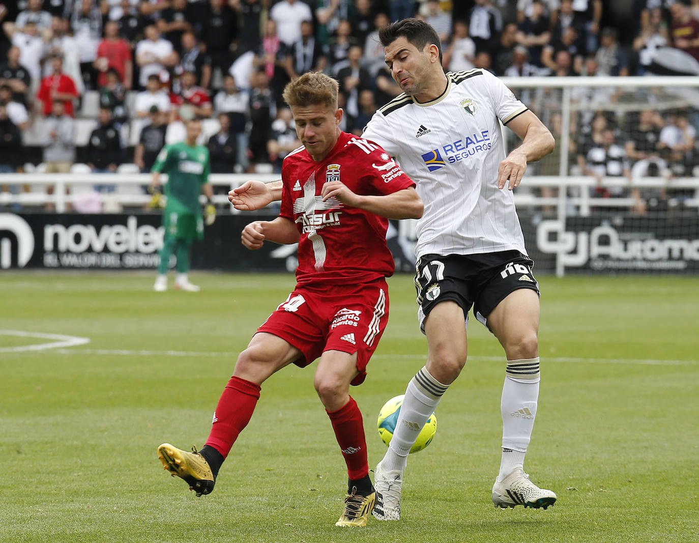 Imágenes del partido ante el Cartagena en El Plantío