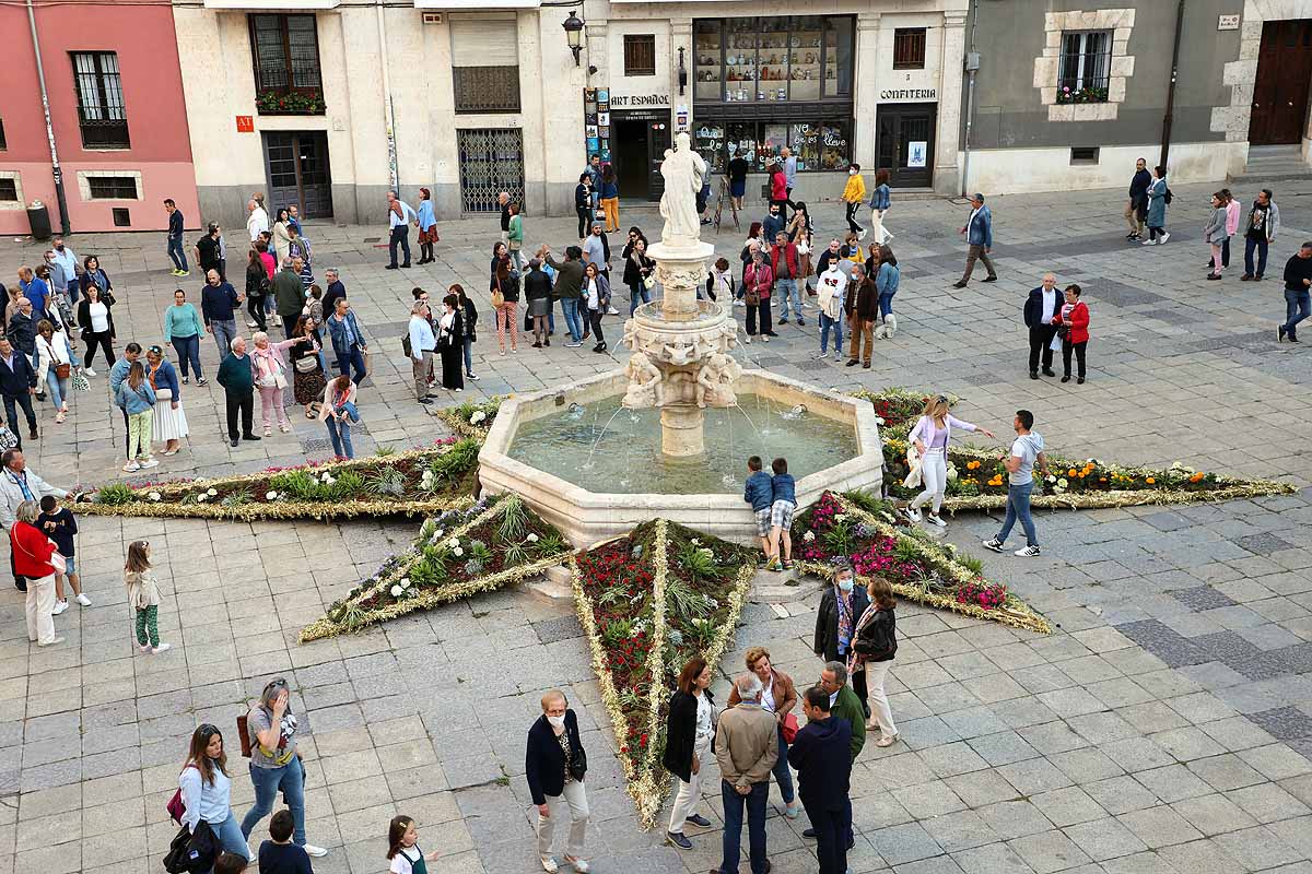 Fotos: La primavera invade Burgos con el regreso de la Fiesta de las Flores