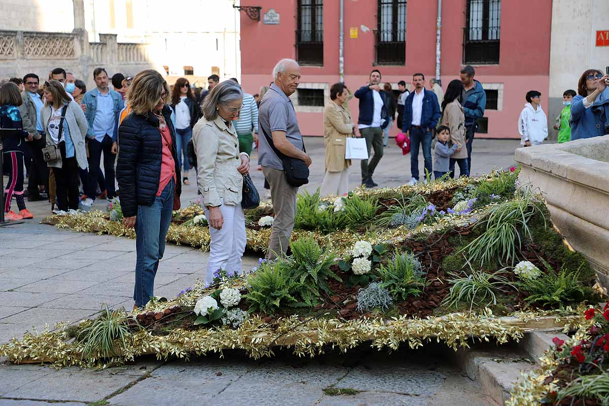 Fotos: La primavera invade Burgos con el regreso de la Fiesta de las Flores