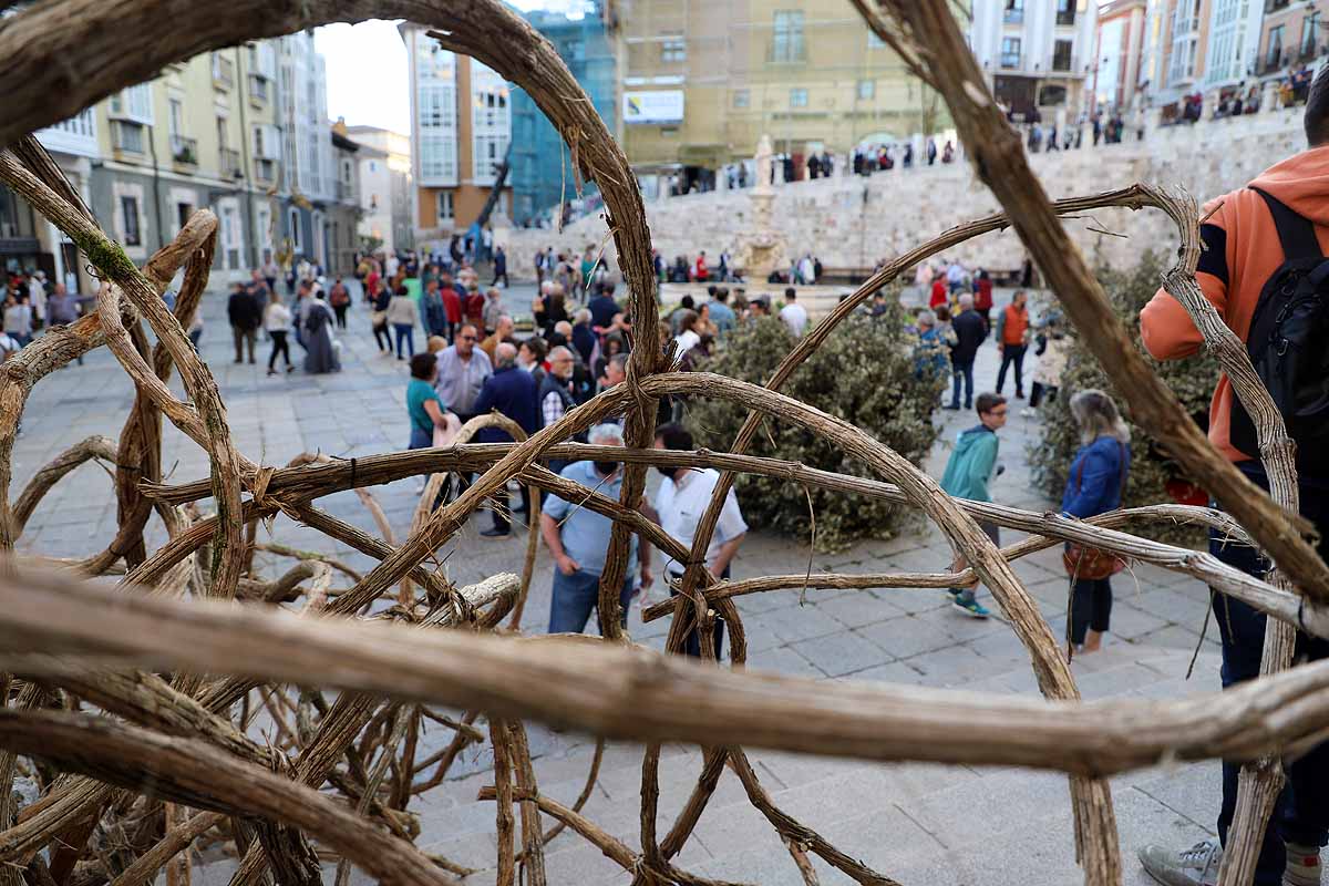 Fotos: La primavera invade Burgos con el regreso de la Fiesta de las Flores