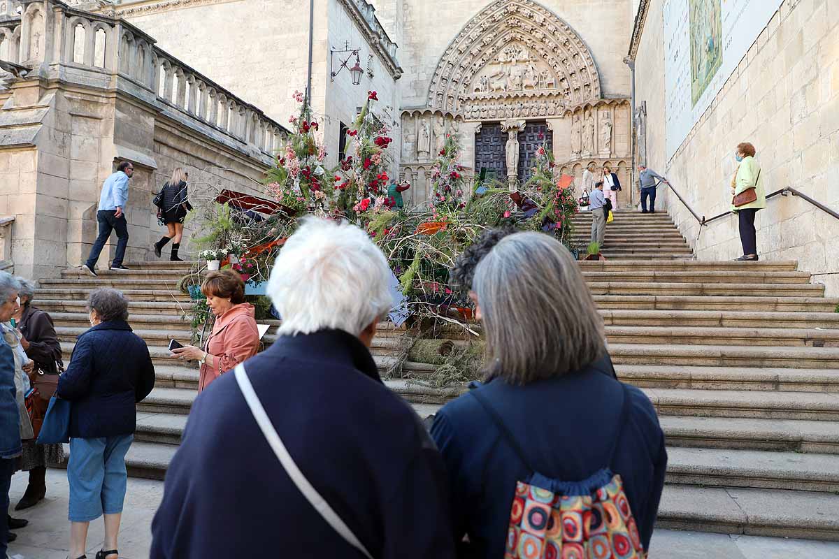 Fotos: La primavera invade Burgos con el regreso de la Fiesta de las Flores