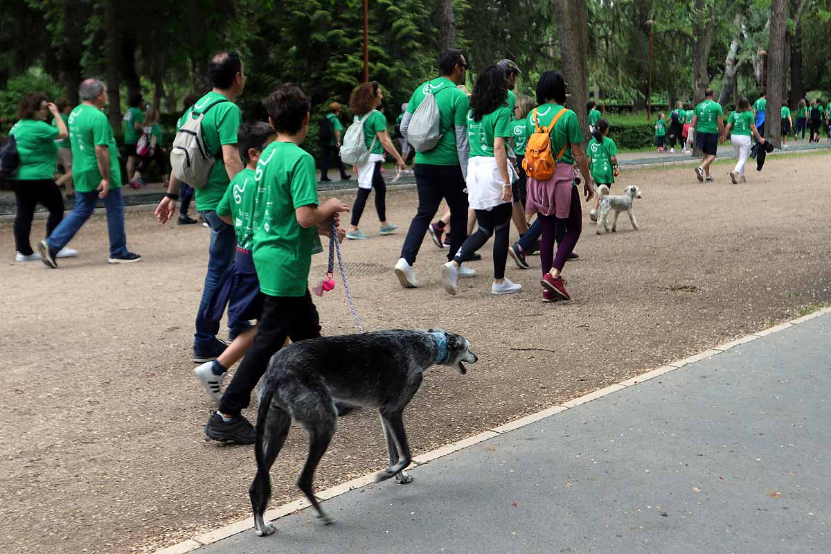 Fotos: Burgos responde con un apoyo absoluto el regreso de la Marcha contra el cáncer