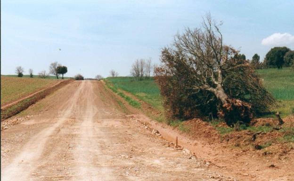 Camino rural. 