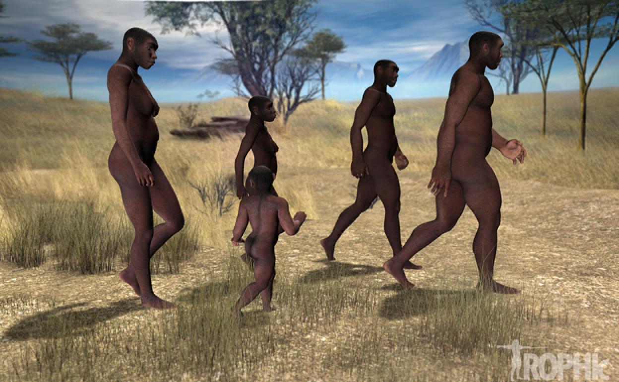 Grupo de homínidos caminando por la sabana.