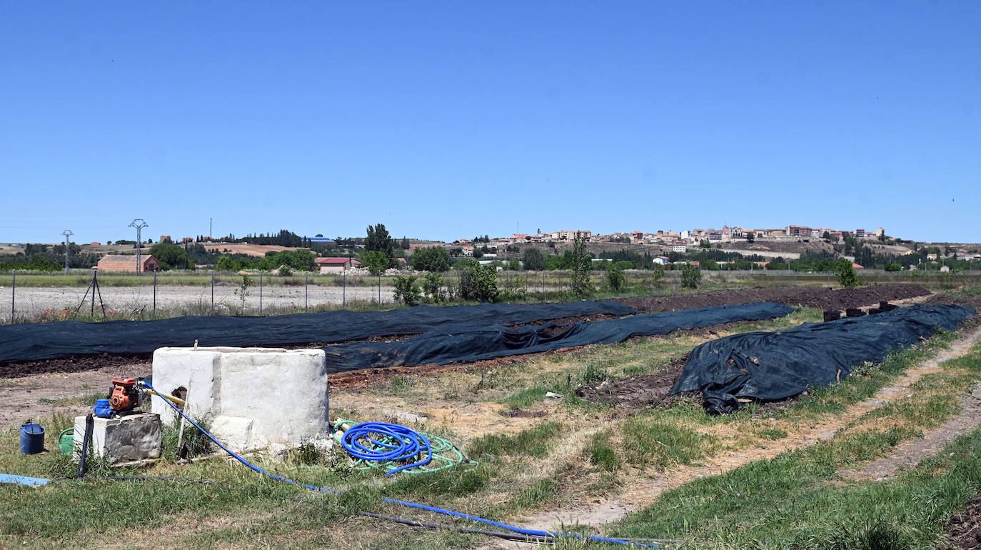 Fotos: Vermiduero, empresa burgalesa dedicada a realizar humus de lombriz