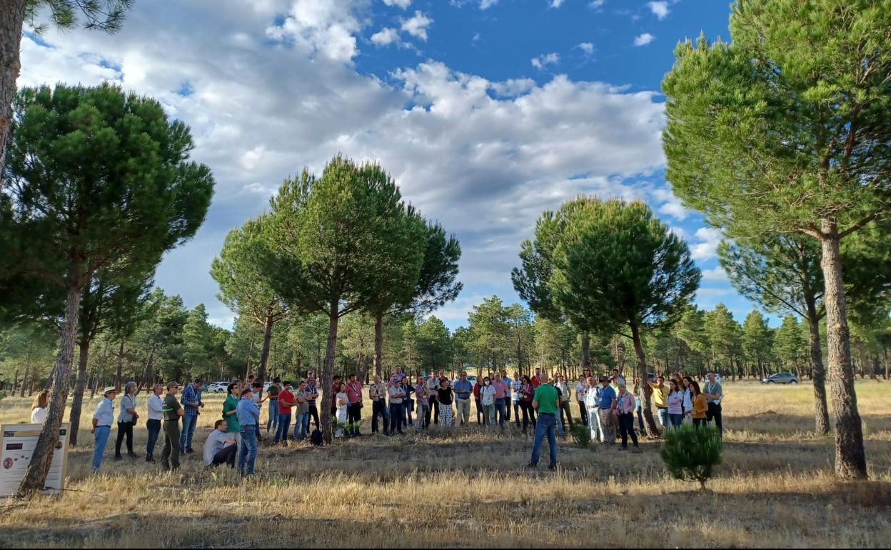 Los participantes en el simposio durante la visita a la Tierra de Pinares vallisoletana. 