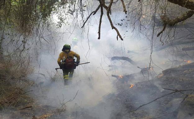 Bomberos del Infoca, en los trabajos de extinción en la zona afectada. 