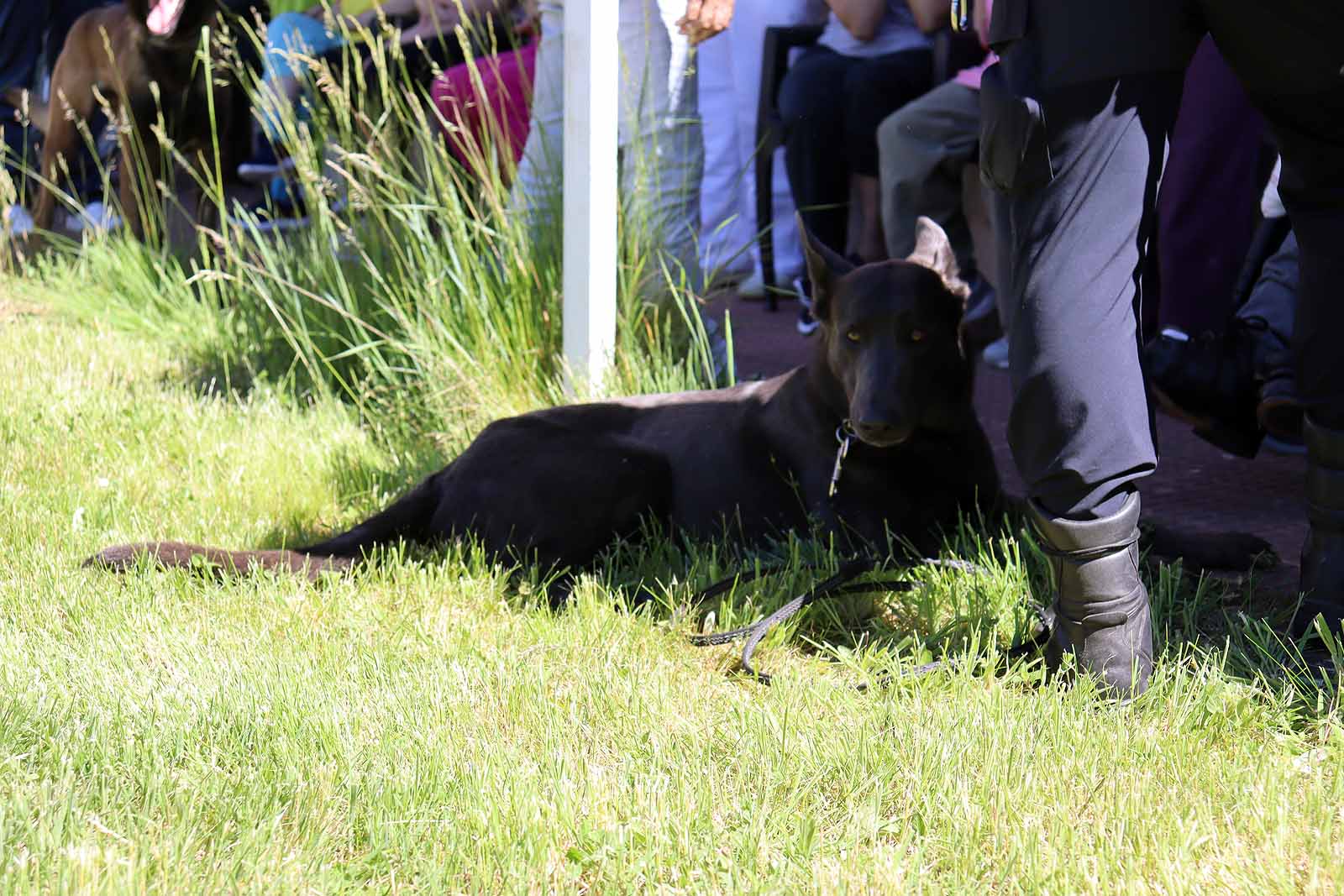 La unidad canina visitó la Residencia Asisitida de Personas Mayores de Fuentes Blancas.