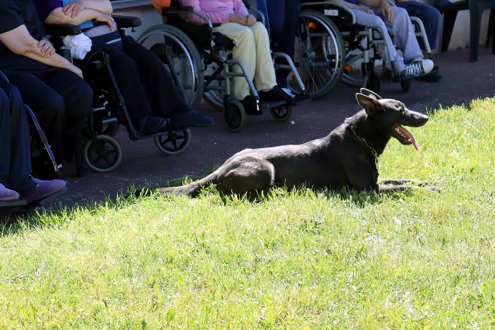 La unidad canina visitó la Residencia Asisitida de Personas Mayores de Fuentes Blancas.