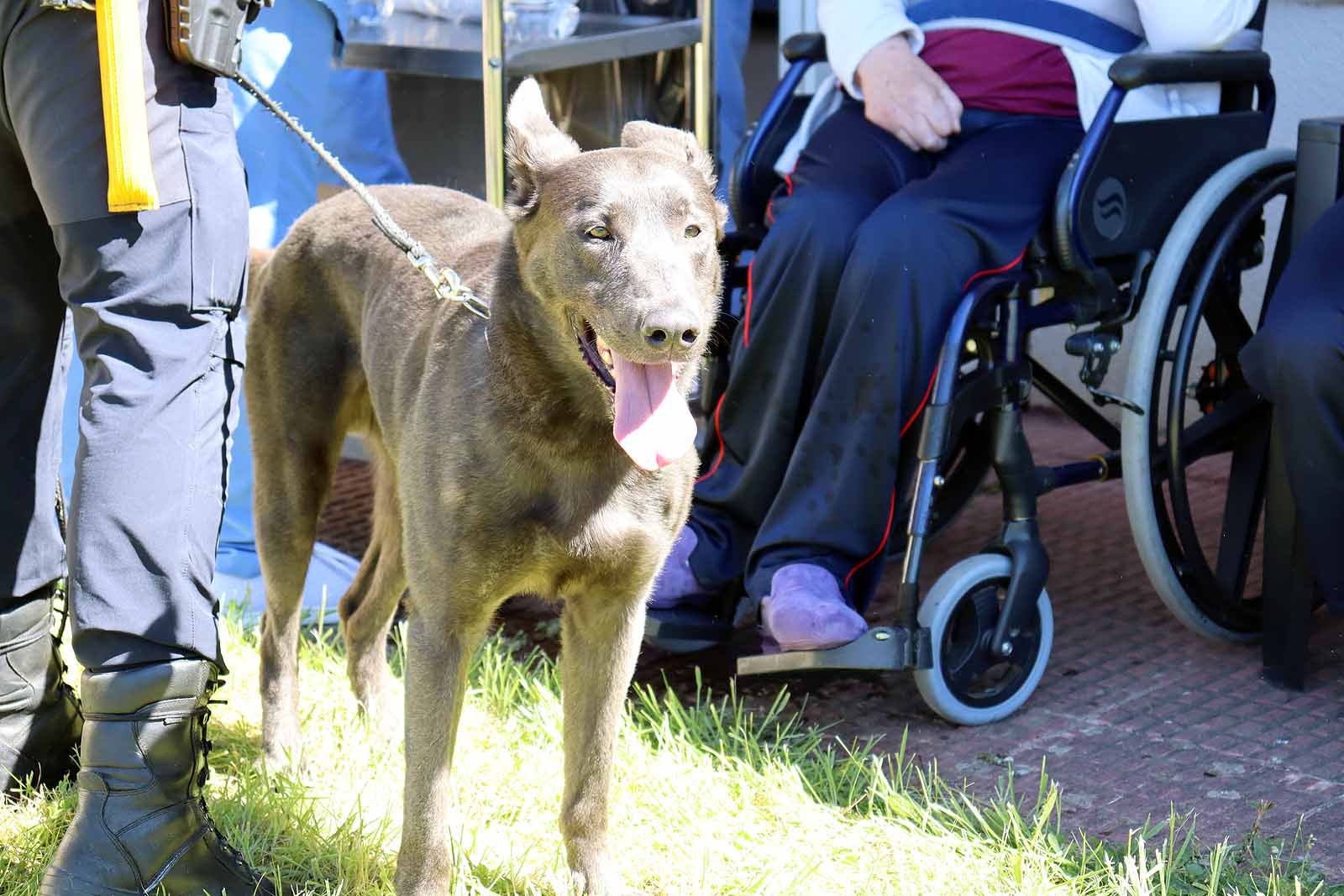 La unidad canina visitó la Residencia Asisitida de Personas Mayores de Fuentes Blancas.