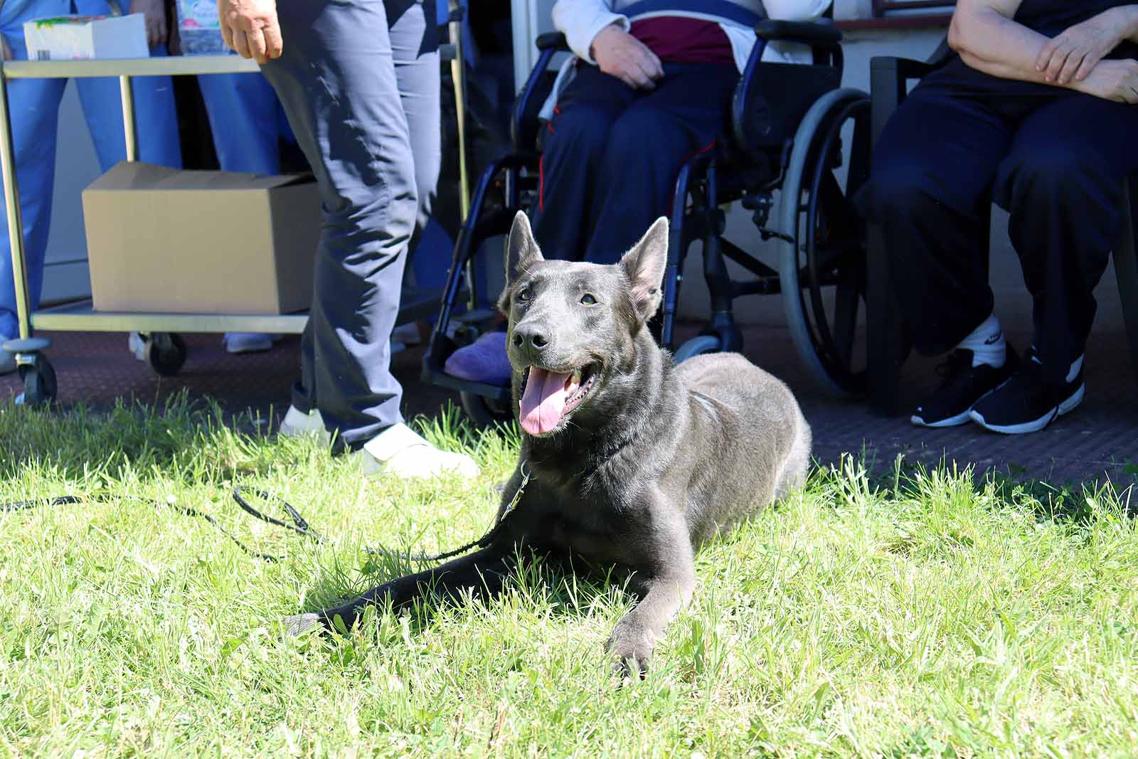 La unidad canina visitó la Residencia Asisitida de Personas Mayores de Fuentes Blancas.