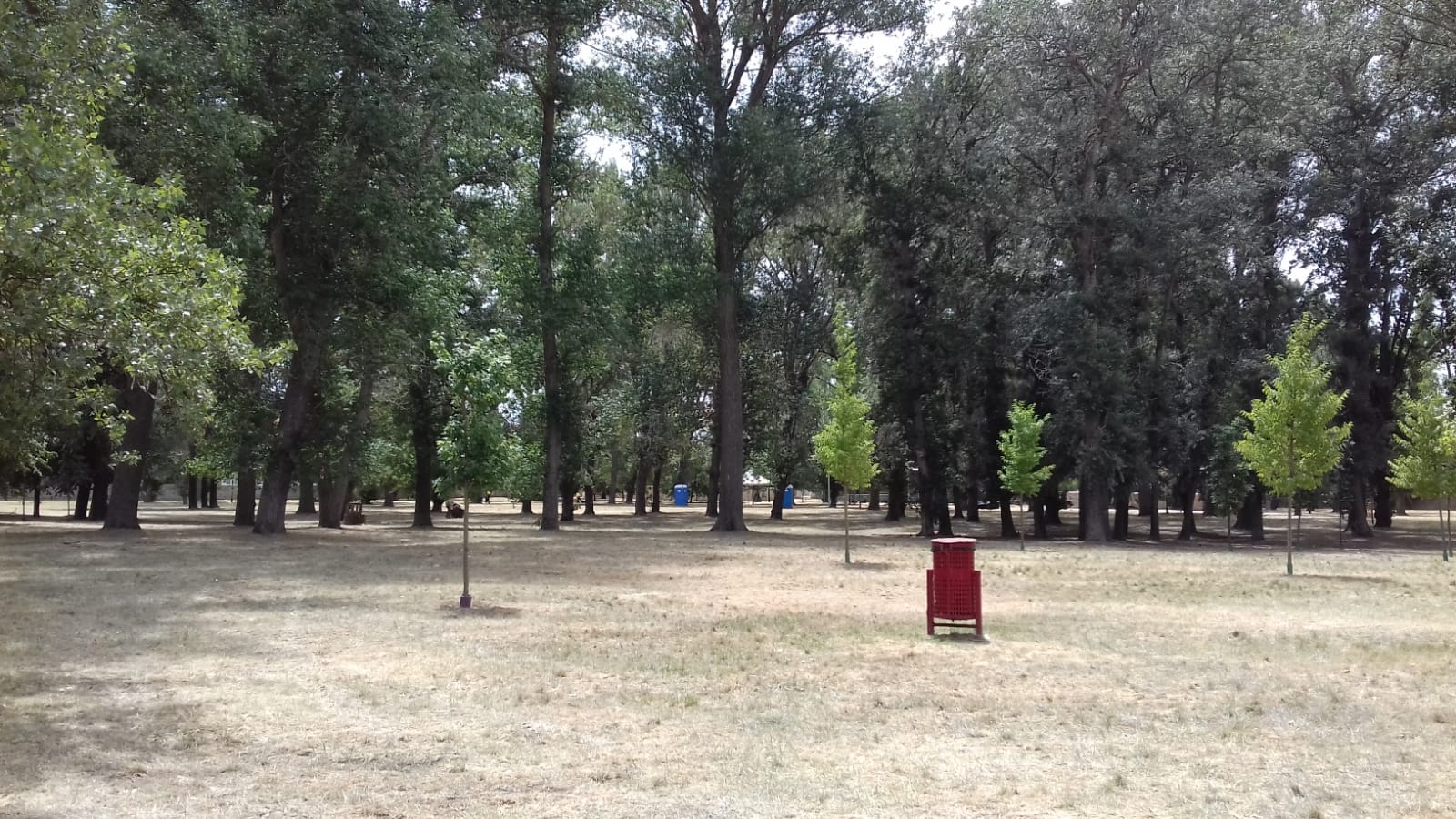 El Parral ya estaba limpio a primera hora de la tarde. 