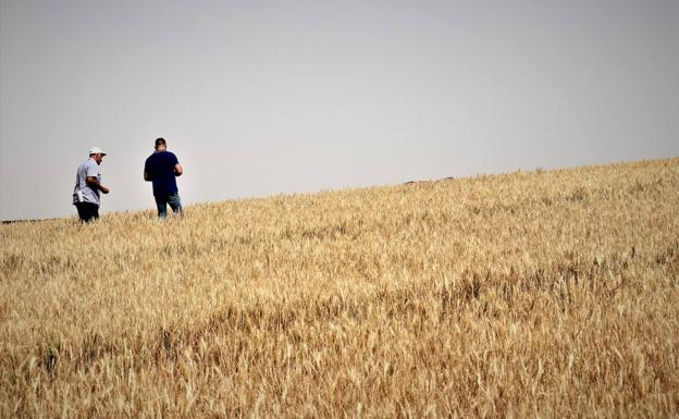 Burgos cierra una primavera 0,5 grados más cálida y con un 3 por ciento menos de lluvia