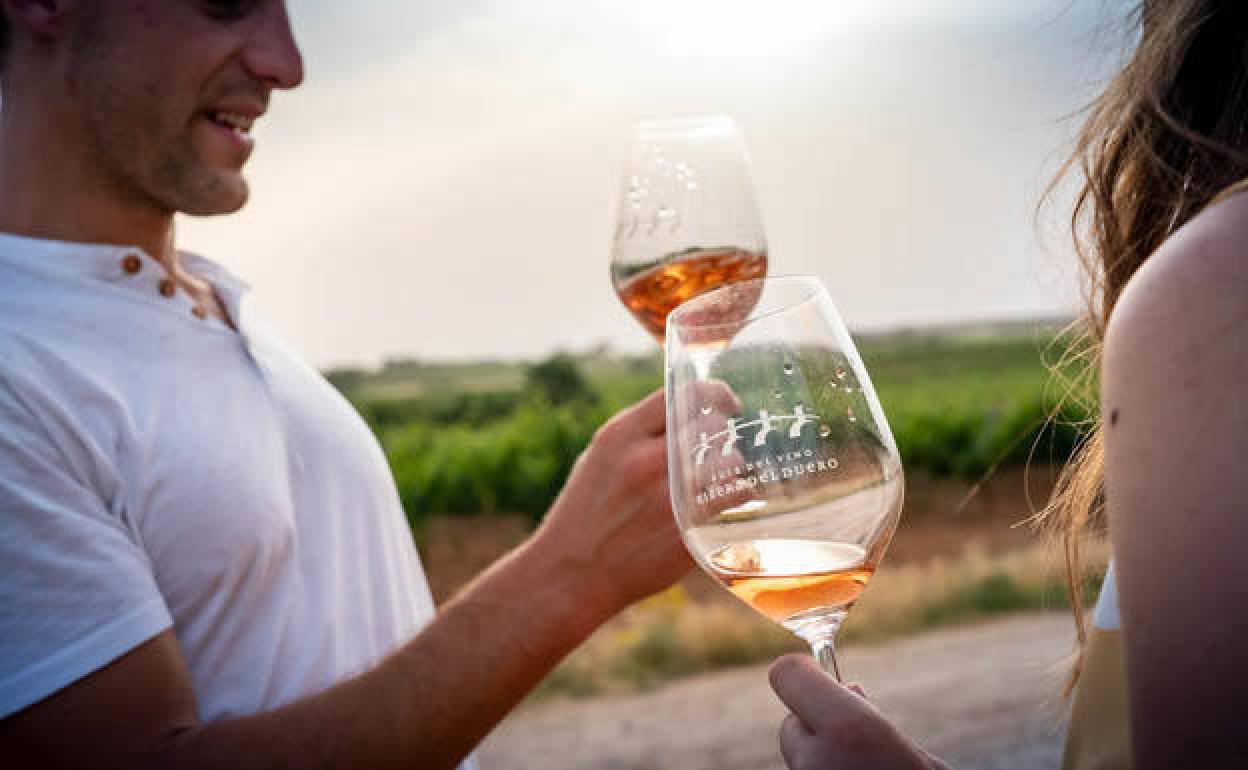 La Ruta del Vino Ribera del Duero recibe 1,8 millones para impulsar la innovación enoturística