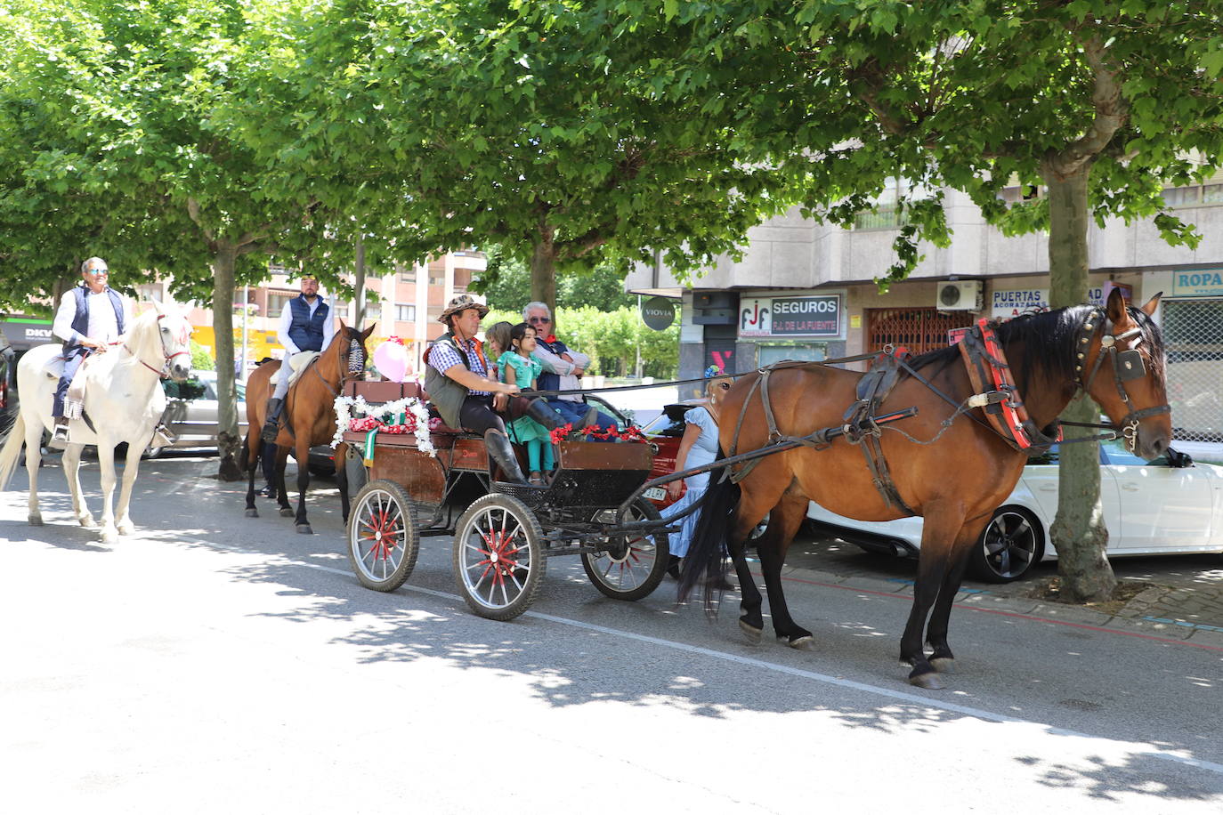 Las peñas desfilan por las calles de Burgos a ritmo de charanga, a golpe de pañuelo y escoltando a las carrozas para celebrar los Sampedros