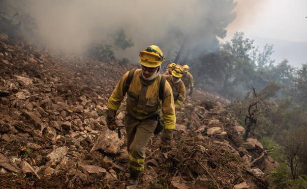 La Junta adelanta a hoy el inicio del peligro alto de incendios forestales