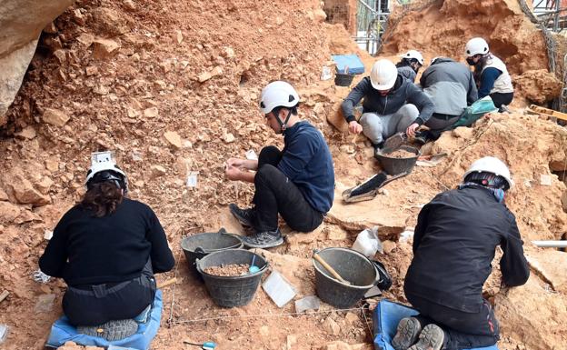 Recuperan costillas, vértebras y restos de cráneo de ciervos y caballos en la Galería de Atapuerca 