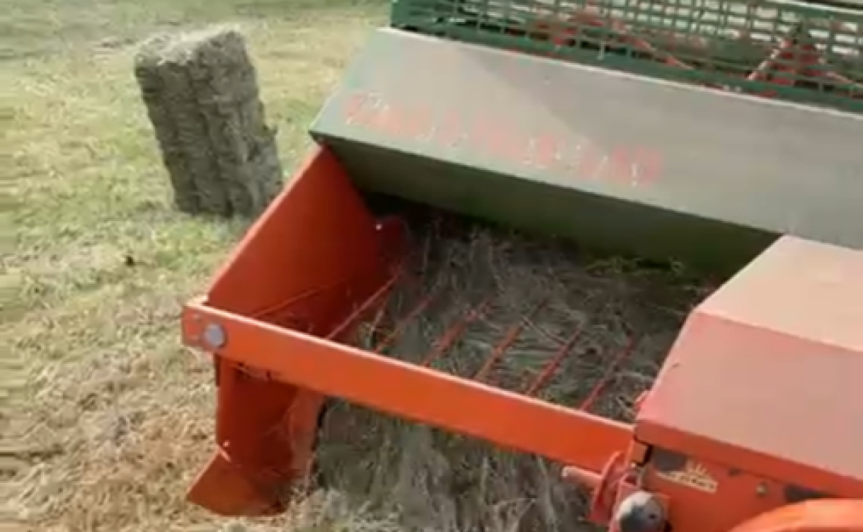 La máquina recoge la hierba para hacer alpacas. 