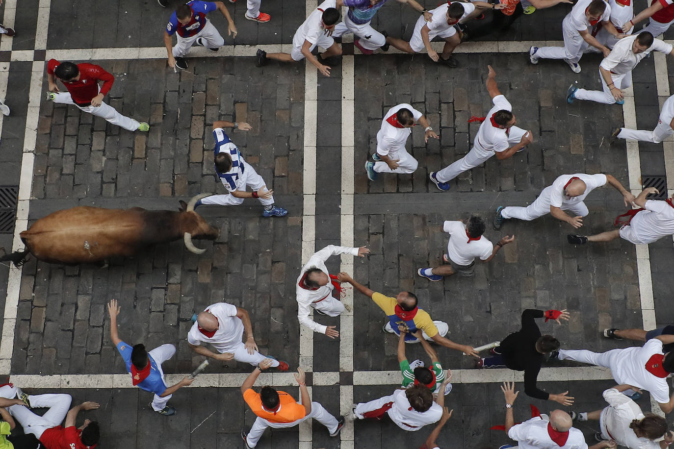 Toros de la ganadería gaditana de Cebada Gago a su paso por la calle de la Estafeta.