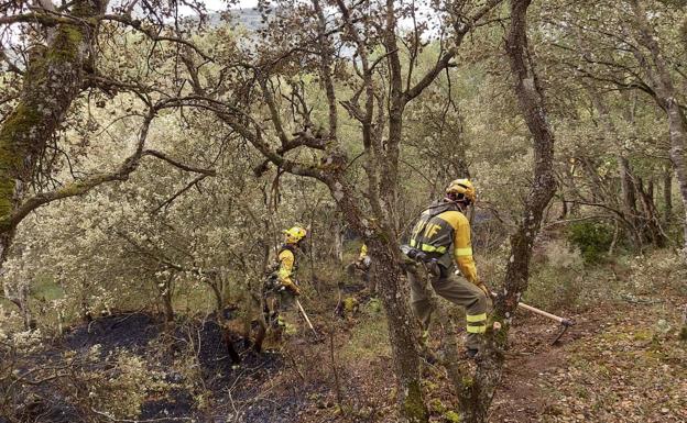 Los bomberos trabajan para controlar un incendio forestal en Santa Olalla de Bureba