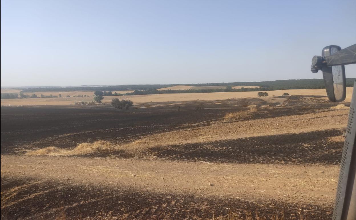 Uno de los agricultores afectados contempla los daños del incendio desde su tractor 