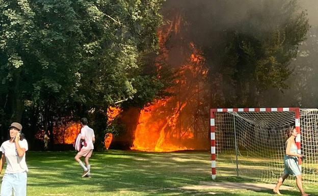 Las llamas arrasan un árbol este jueves en el entorno del club deportivo El Soto