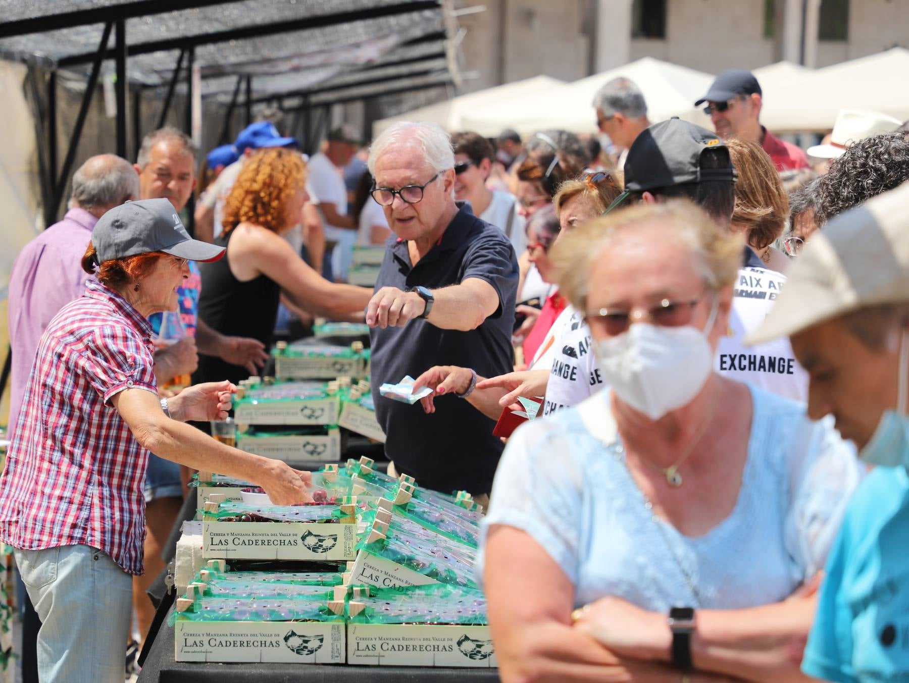 Fotos: Las cerezas endulzan la Plaza Mayor