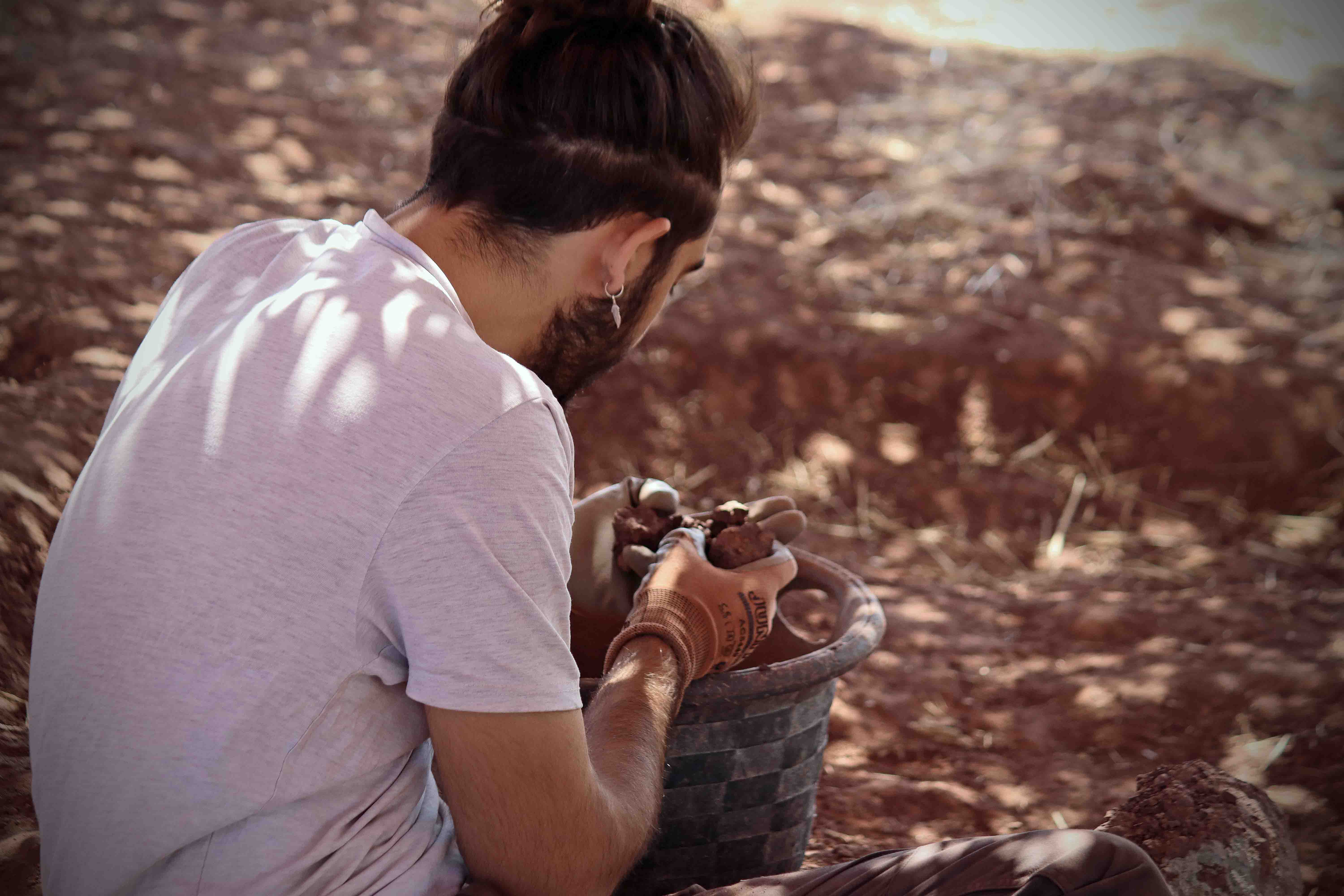 Fotos: Dentro de las excavaciones paleontológicas de Salas de los Infantes