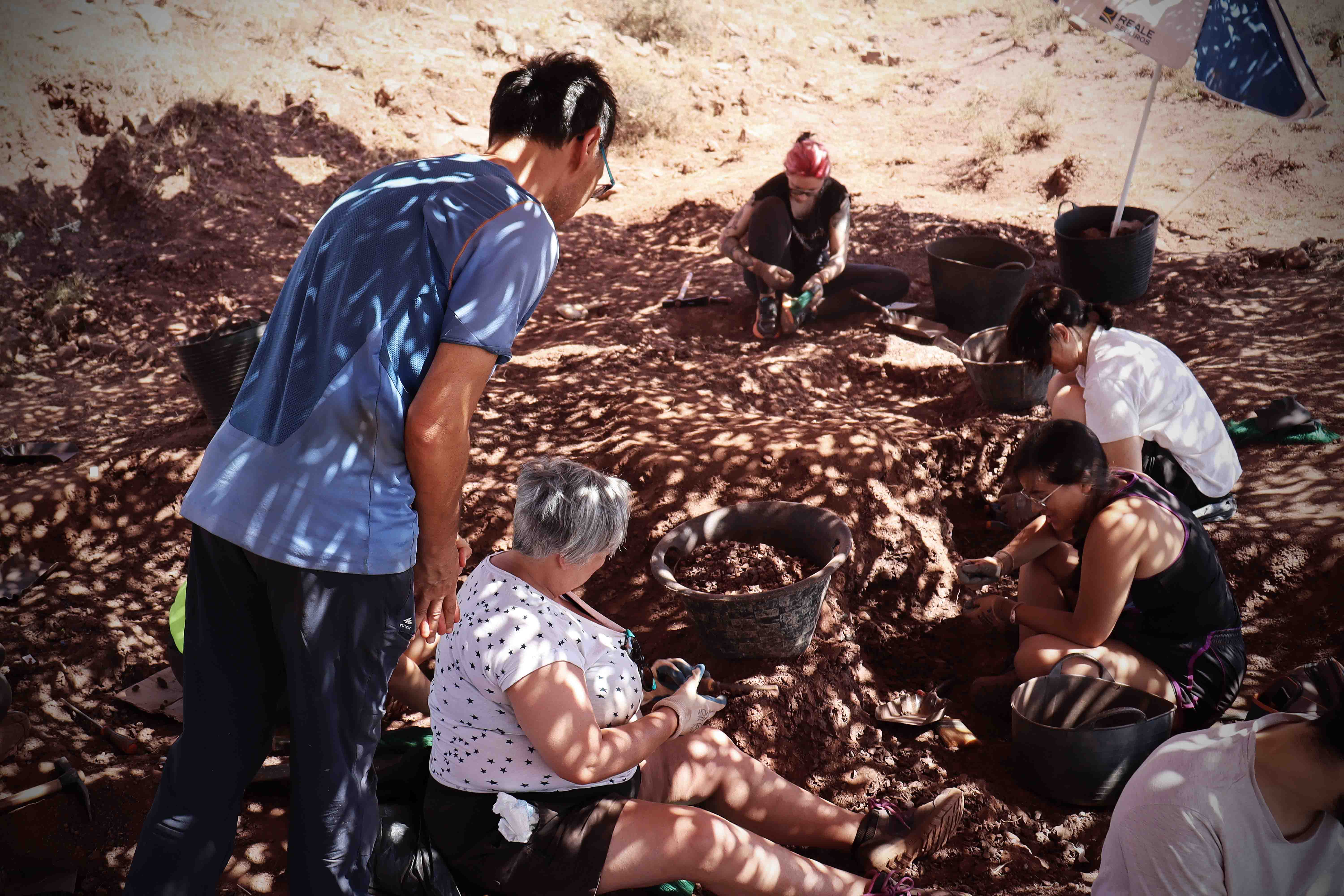 Fotos: Dentro de las excavaciones paleontológicas de Salas de los Infantes