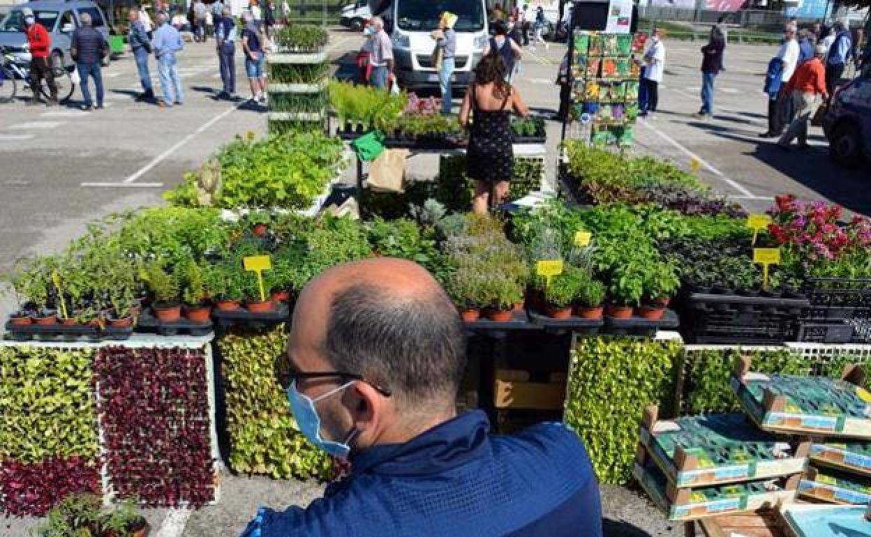 El mercado de frutas y hortalizas se trasladó a Las Torres en 2018. 