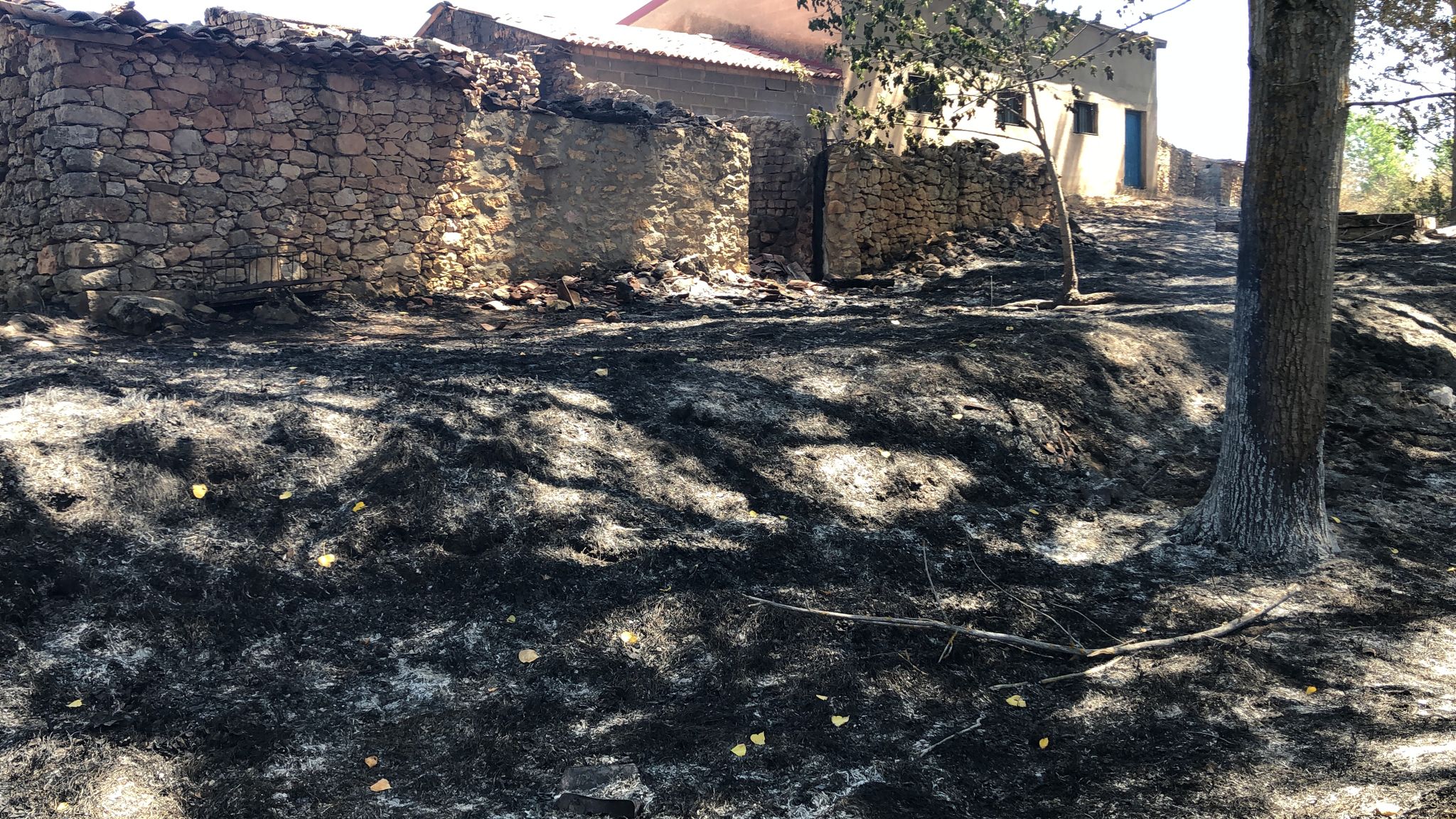 Vídeo. Así ven los vecinos Santibáñez del Val.