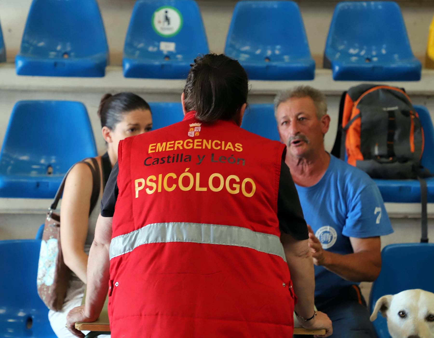 Fotos: Salas acoge a más de 200 desalojados