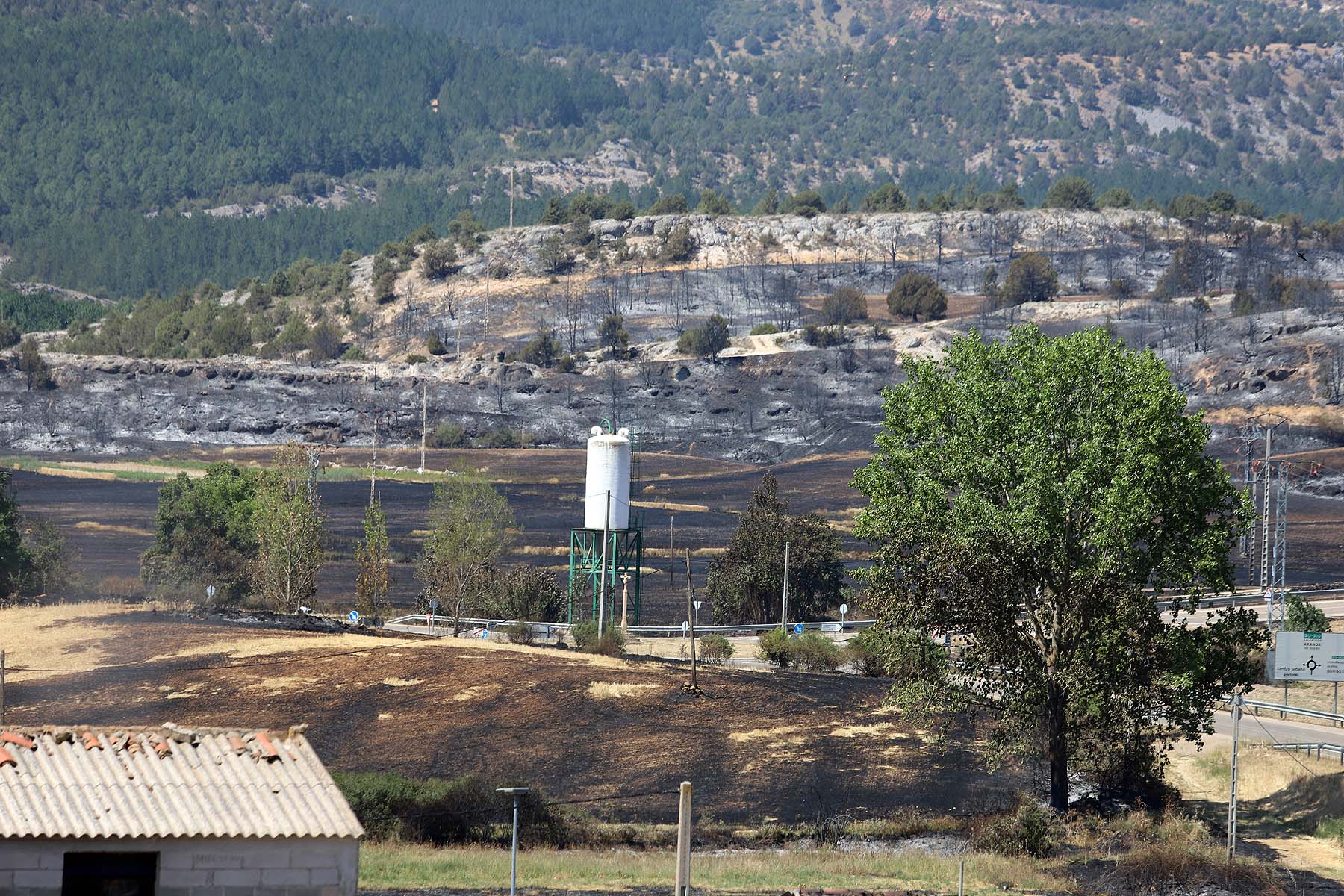 Fotos: El fuego cerca Santo Domingo de Silos