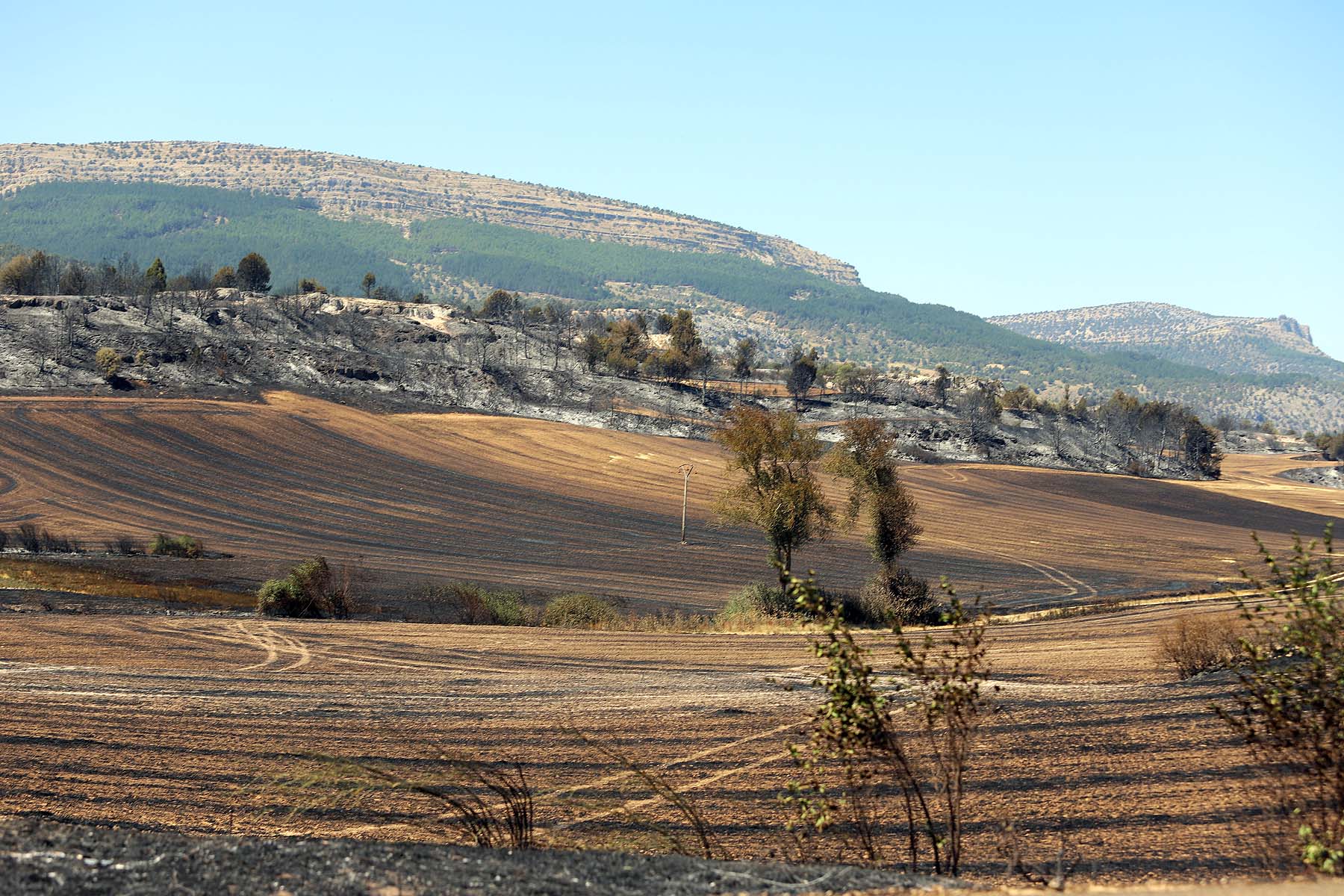 Fotos: El fuego arrasa la comarca del Arlanza