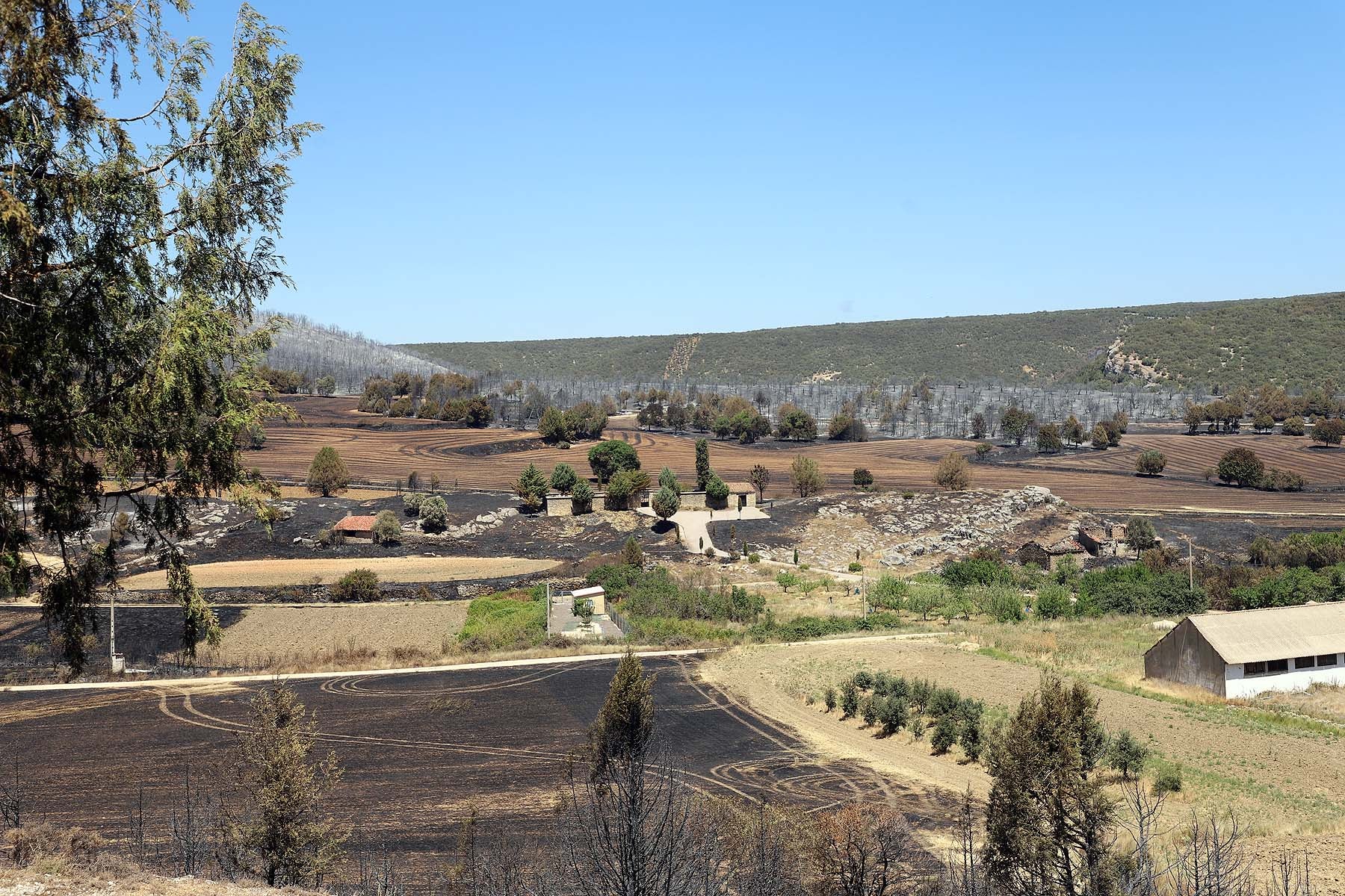 Fotos: El fuego arrasa la comarca del Arlanza