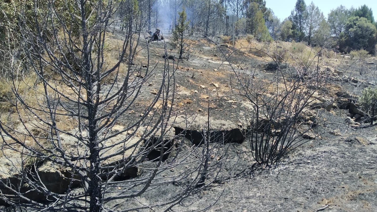 Fotos: El incendio de Quintanilla del Coco, en imágenes