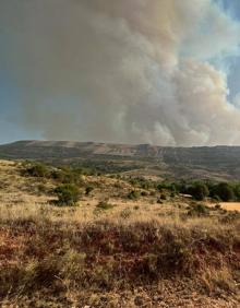 Imagen secundaria 2 - El incendio visto desde Villanueva de Carazo 