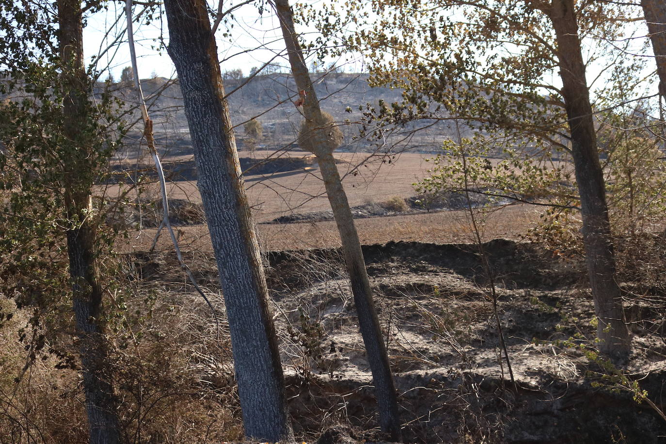 Fotos: Los vecinos de Santibáñez del Val vuelven a sus casas