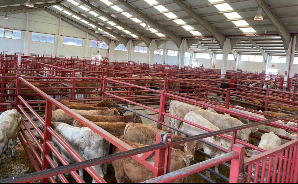 Naves del mercado de Salamanca. 