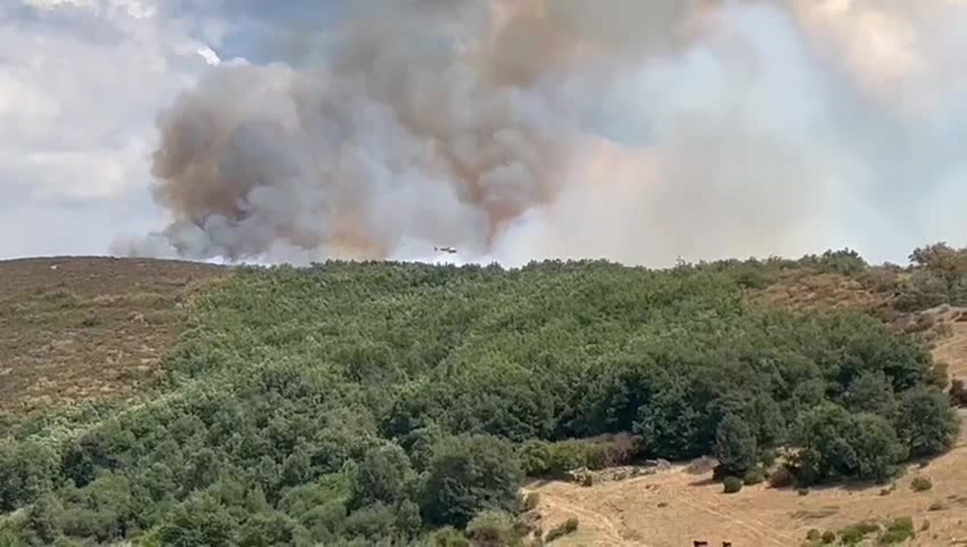 Medios aéreos luchan contra un incendio forestal en Pineda de la Sierra (Burgos)