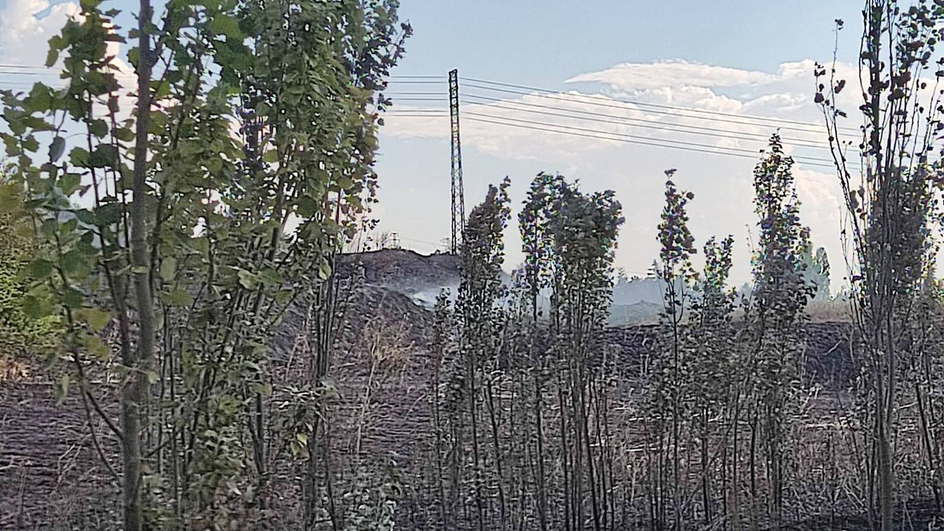 Tierra quemada en el cerro de San Miguel tras el incendio de Fuentecillas