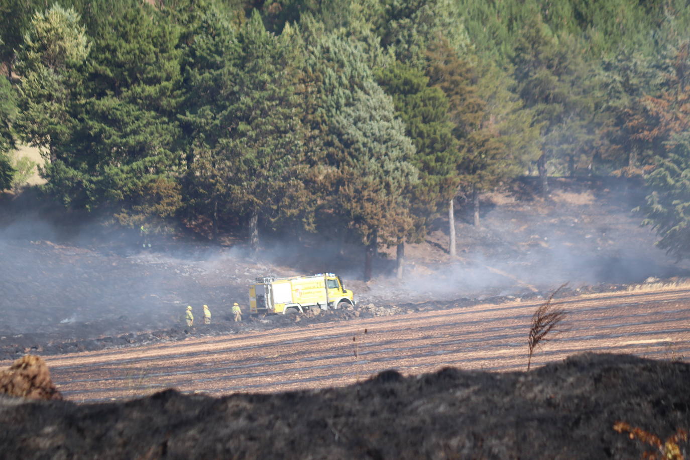 Tierra quemada en el cerro de San Miguel tras el incendio de Fuentecillas